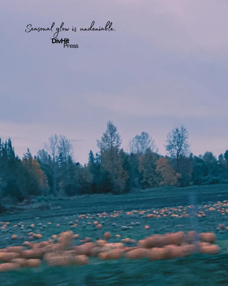 DivHit Press_Photo Series 2_Distortion in Motion.wepg