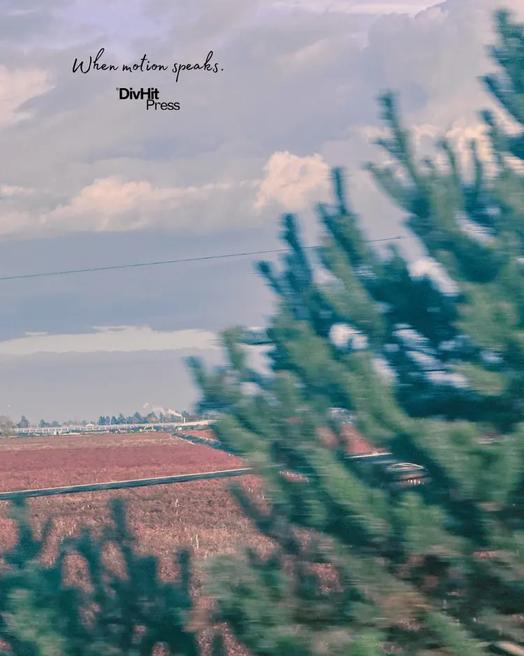 DivHit Press_Photo Series 2_Distortion in Motion.wepg